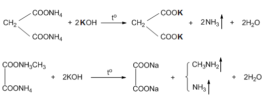 C3h10o4n2: Khám phá về Công thức Hóa học và Ứng dụng Đa dạng